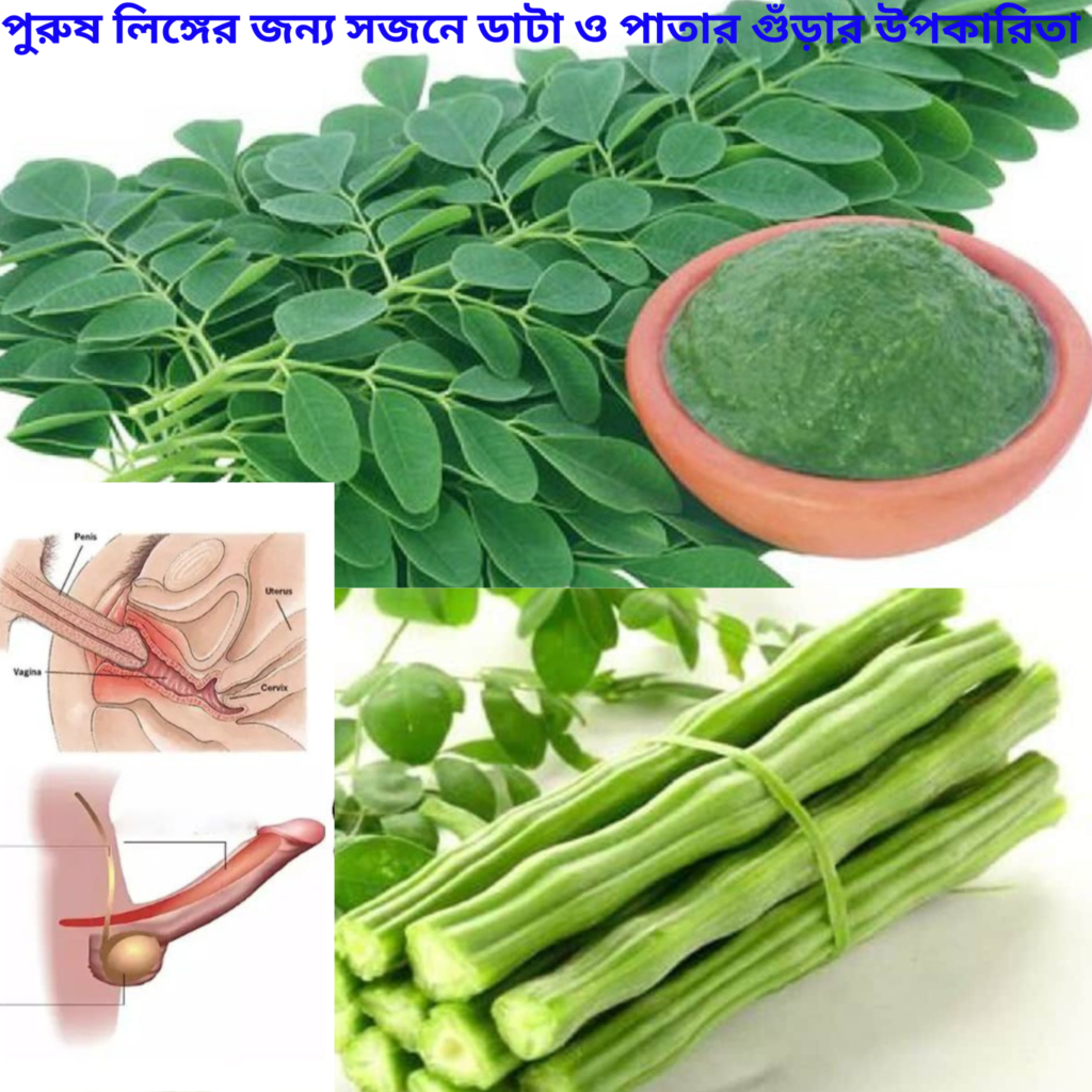 এবং সজনে পাতার পাউডার