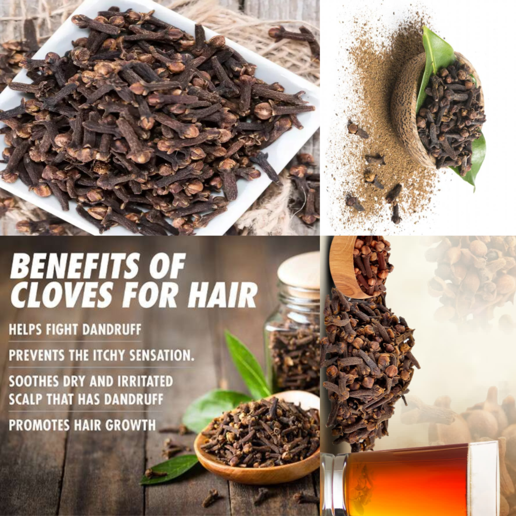 Clove