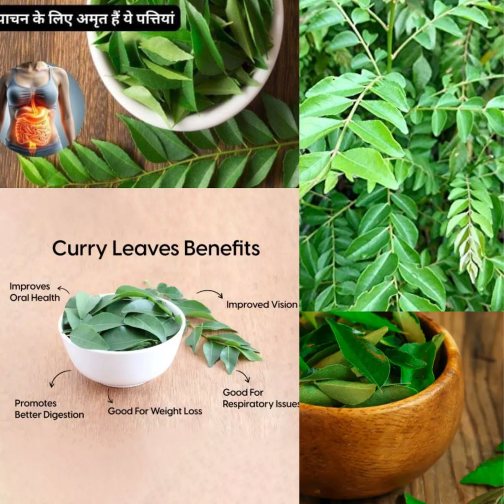 Curry Leaves