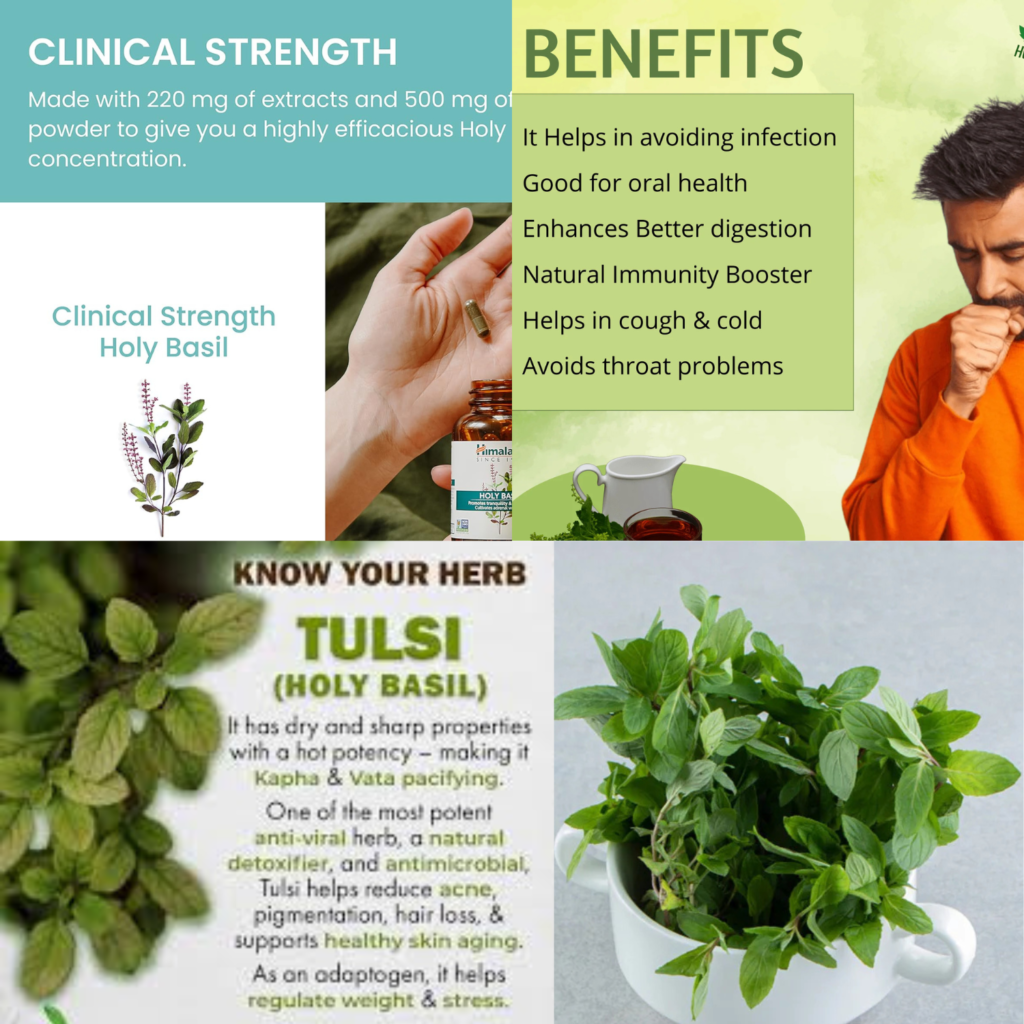 Holy Basil Tulsi Herbal Supplement