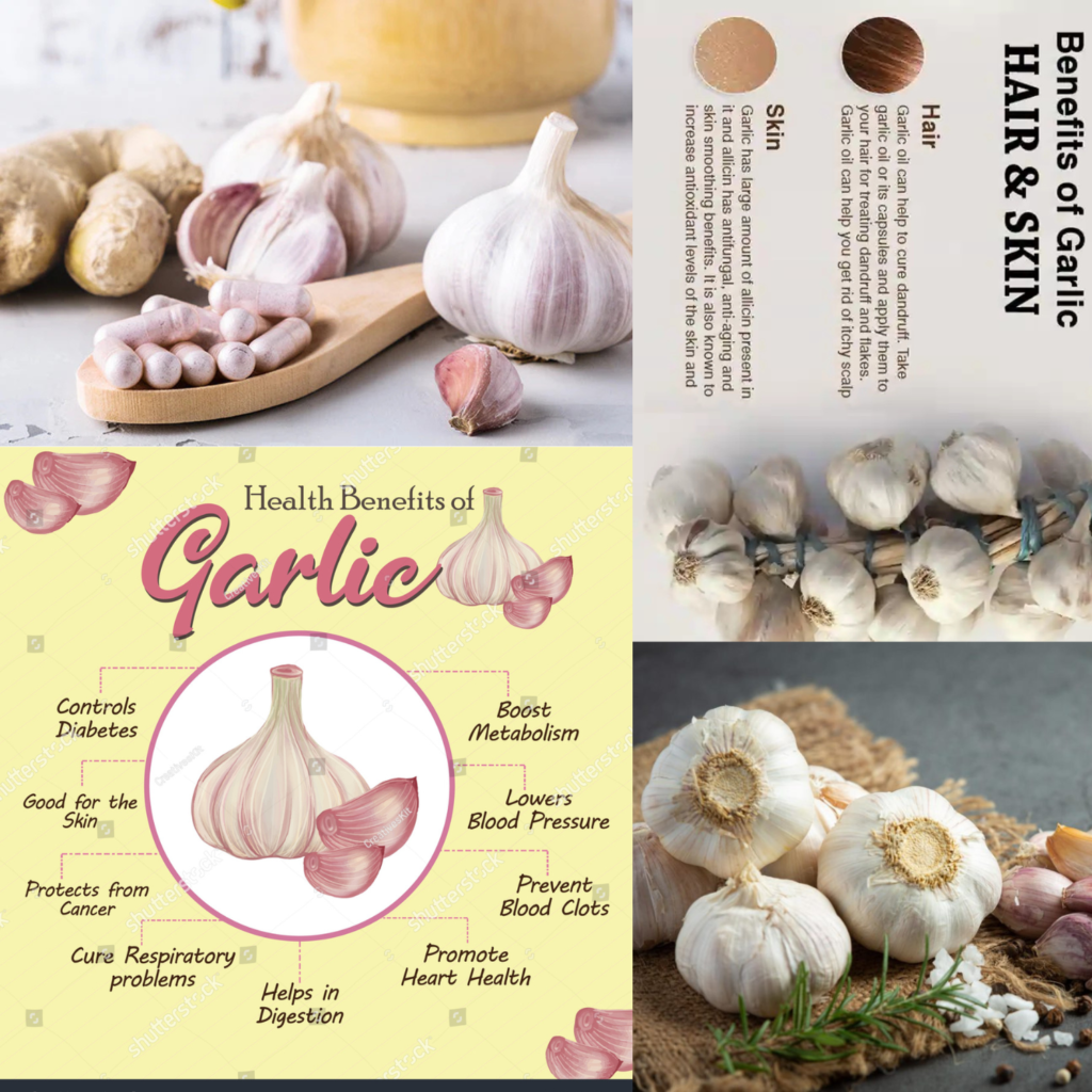Garlic